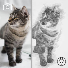 pet-drawings-from-photos