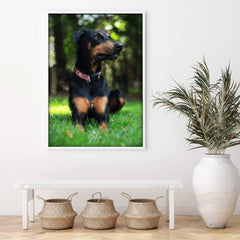 oil-painting-of-your-dog